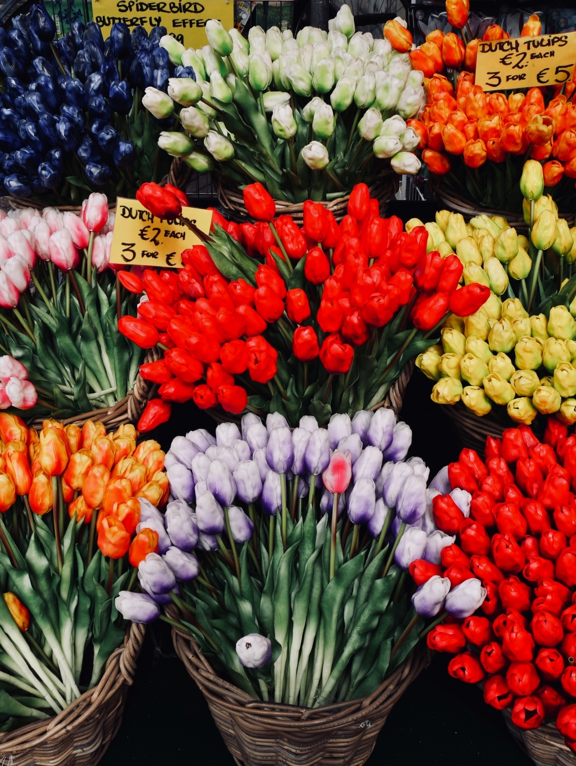 Tulpenmarkt in den Niederlanden